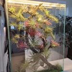 biophilic glass panel object for interior design