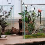 biophilic glass panel object for interior design