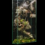 artistic plant composition inside glass panel