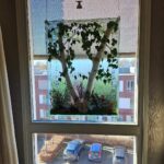 artistic plant composition inside glass panel